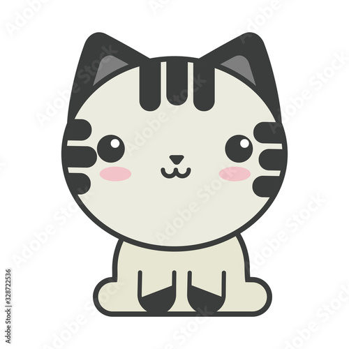 cute cat on white background, feline domestic