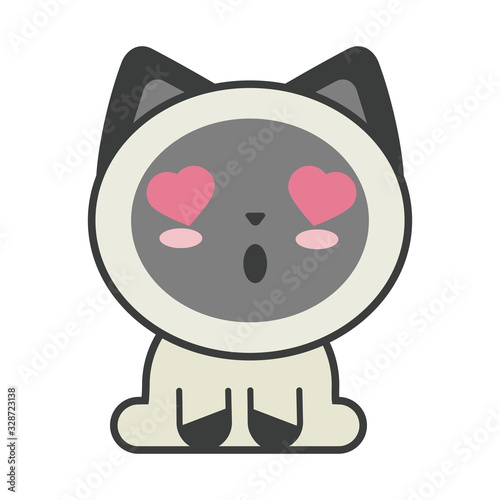 cute cat on white background, feline domestic