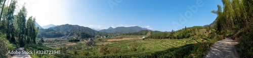 The scenery of the tea field is beautiful, and the tea growing environment is very good