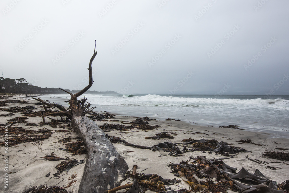 Tasmanian Isolation