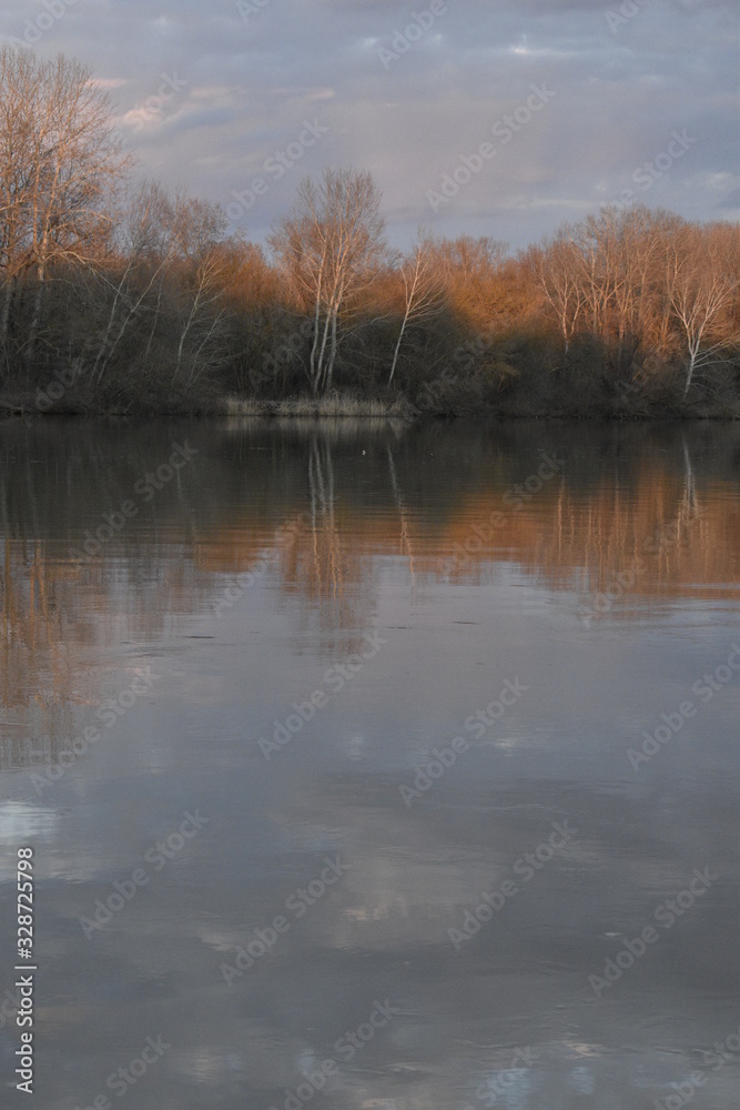 sunset over the river and the trees