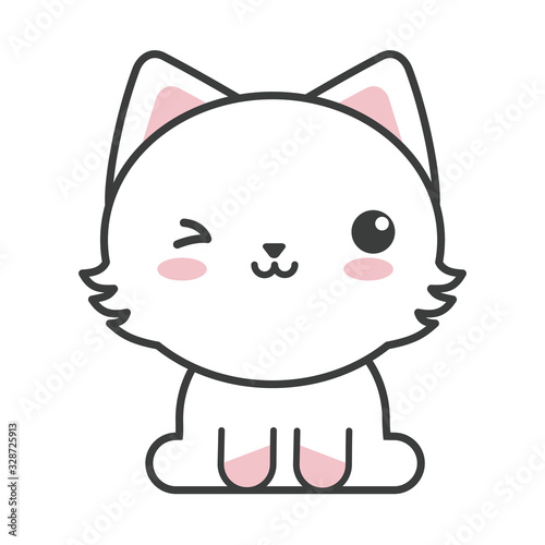 cute cat on white background, feline domestic