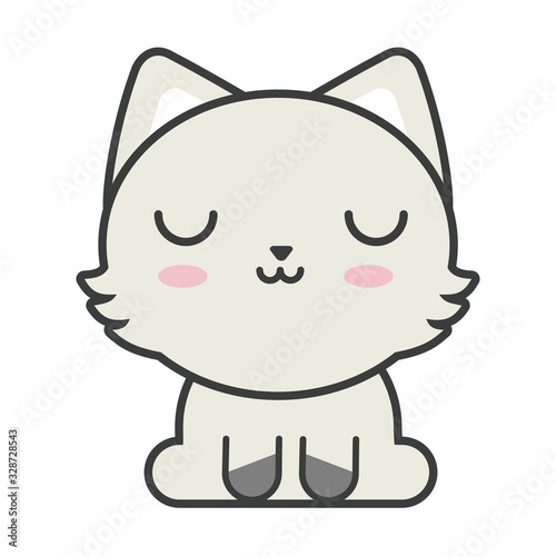 cute cat on white background, feline domestic