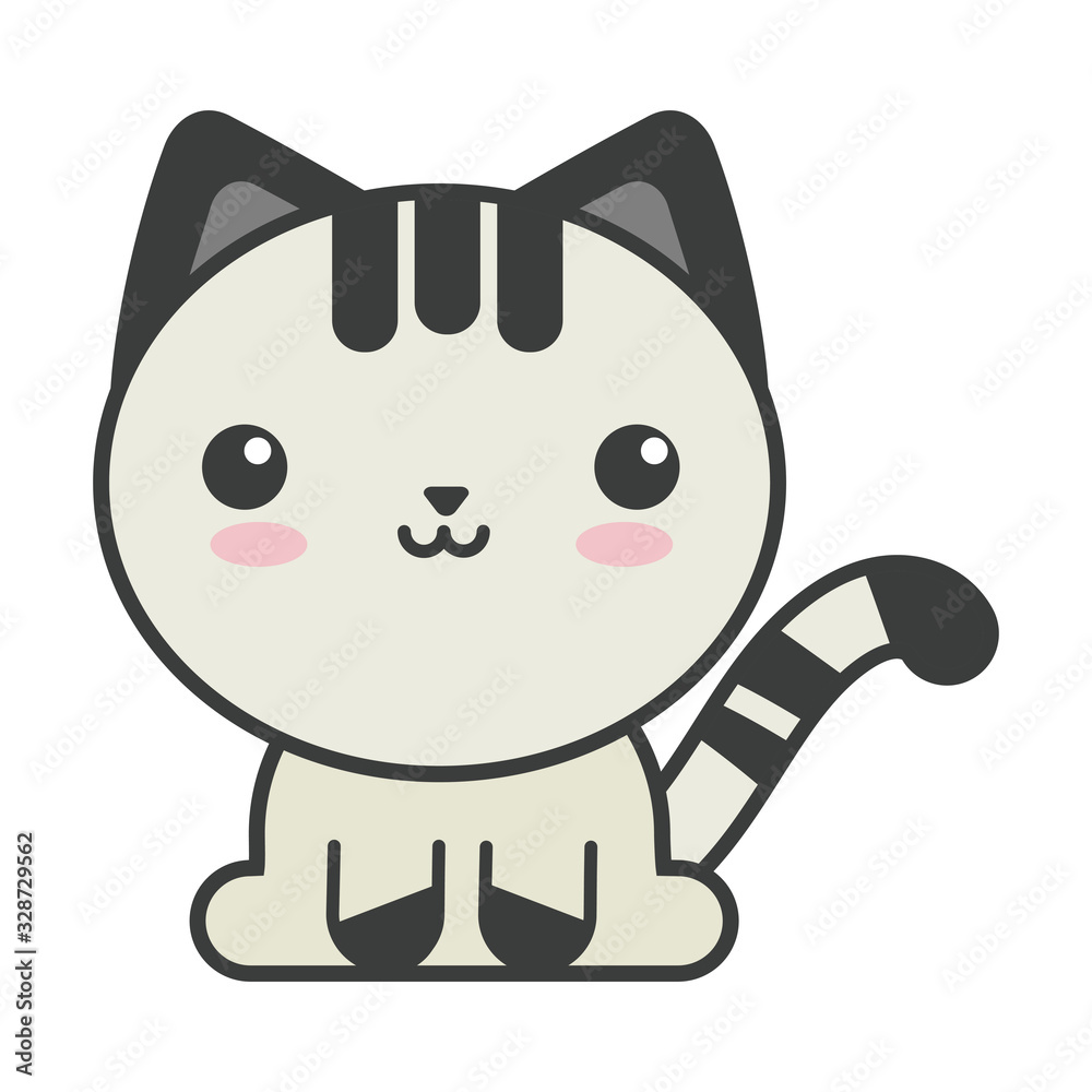 cute cat on white background, feline domestic cute cat on white background, feline domestic