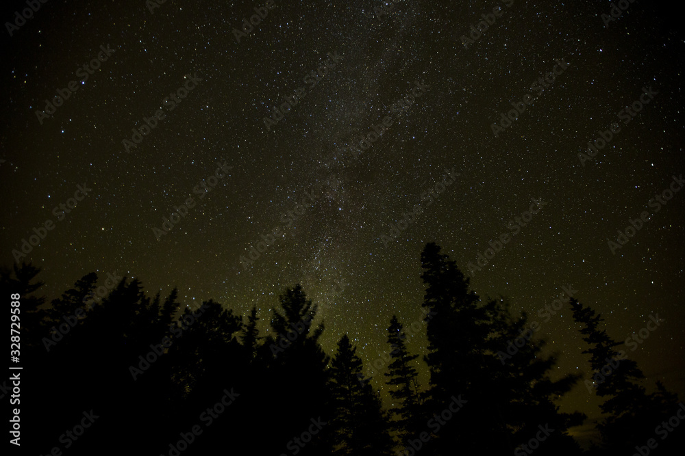 Dark night sky with milky way galaxy stars aurora with simple tree silhouettes Dark night sky with milky way galaxy stars aurora with simple tree silhouettes
