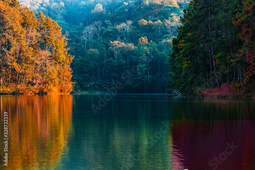 The beauty of the scenery of the trees reflecting the surface of the water in the autumn colors by the lake in Pang Ung Thailand