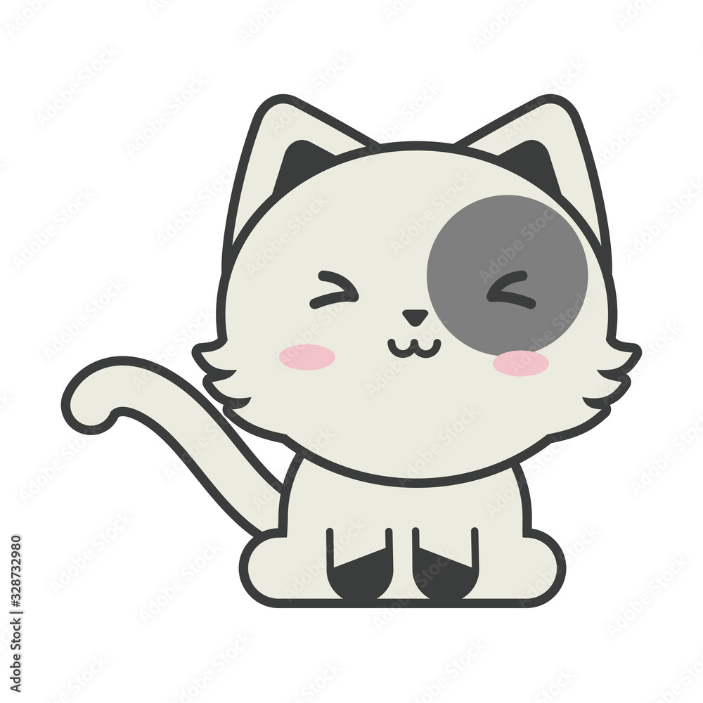 cute cat on white background, feline domestic cute cat on white background, feline domestic