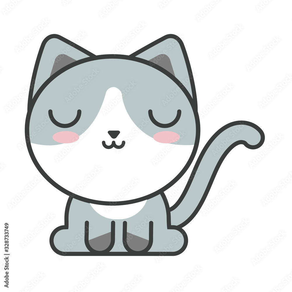 cute cat on white background, feline domestic cute cat on white background, feline domestic