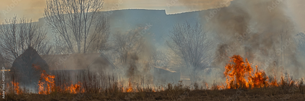 Fototapeta premium Wildfire Threatens a Home