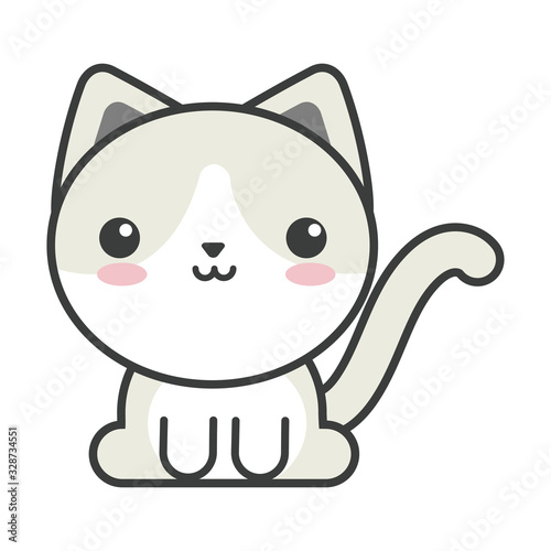 cute cat on white background, feline domestic