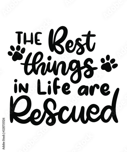 Pet, Dog and Cat Quote Lettering Print Wall Art Vector Designs