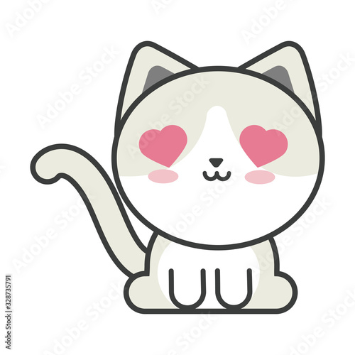 cute cat on white background, feline domestic
