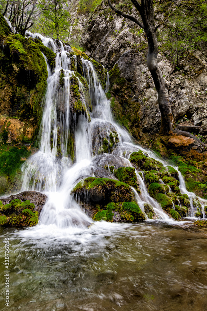 Beautiful waterfall in the forest with green moss, Caras Severin county, Beusnita National Park, Cheile Nerei, Bozovici, Romania Beautiful waterfall in the forest with green moss, Caras Severin county, Beusnita National Park, Cheile Nerei, Bozovici, Romania