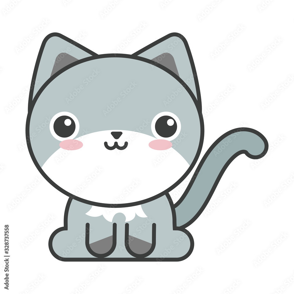 cute cat on white background, feline domestic cute cat on white background, feline domestic