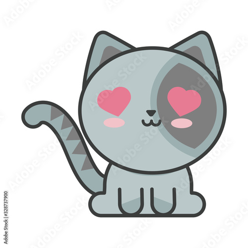 cute cat on white background, feline domestic