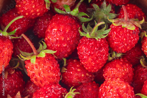 heap of wild strawberries background