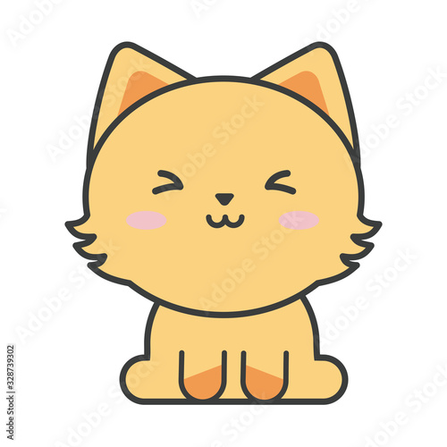 cute cat on white background, feline domestic