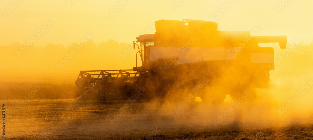 Combine harvester on the field at sunset.