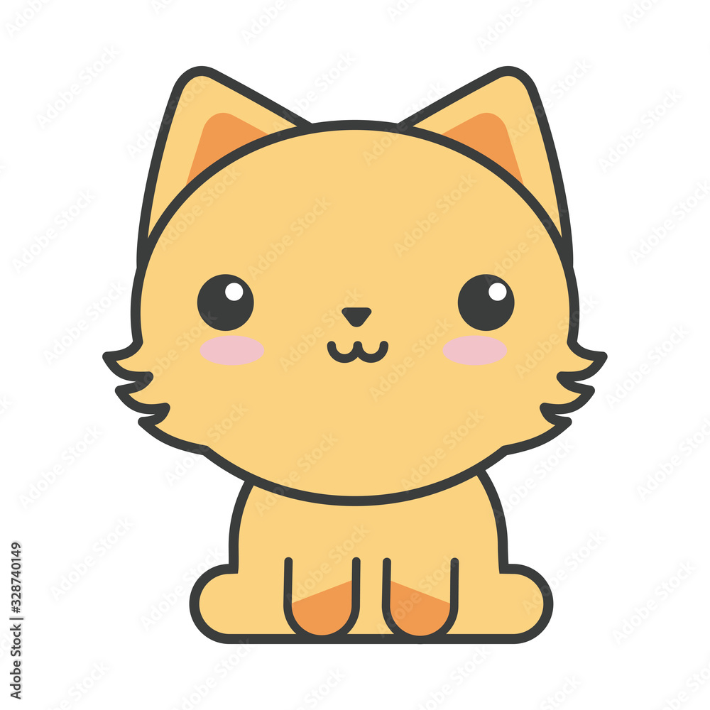 cute cat on white background, feline domestic cute cat on white background, feline domestic