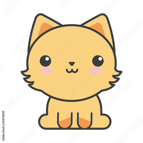 cute cat on white background, feline domestic