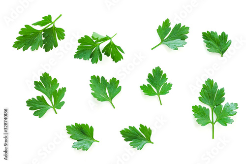 Parsley herb set. Parsley isolated on white background.