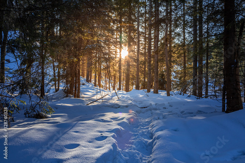 Stunning sunbeam in snowy f...