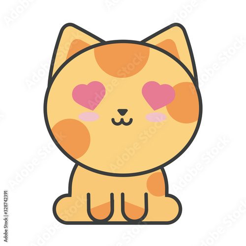 cute cat on white background, feline domestic