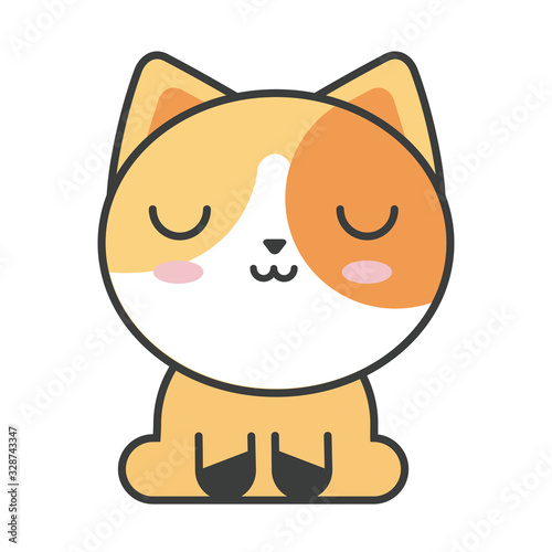 cute cat on white background, feline domestic