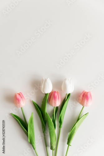 tulip flowers isolated on white. tulips top view.
