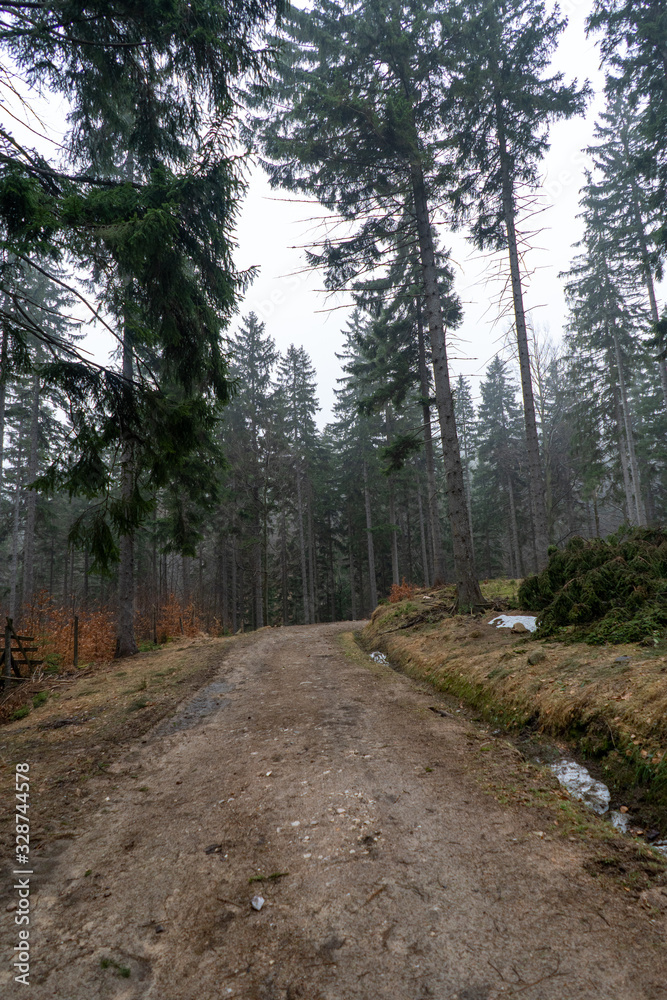 Fototapeta premium Szklarska Poręba last days of winter