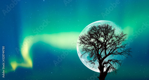 Silhouette of birds and lone tree with Northern lights (Aurora Borealis) on the background full moon "Elements of this image furnished by NASA" © muratart
