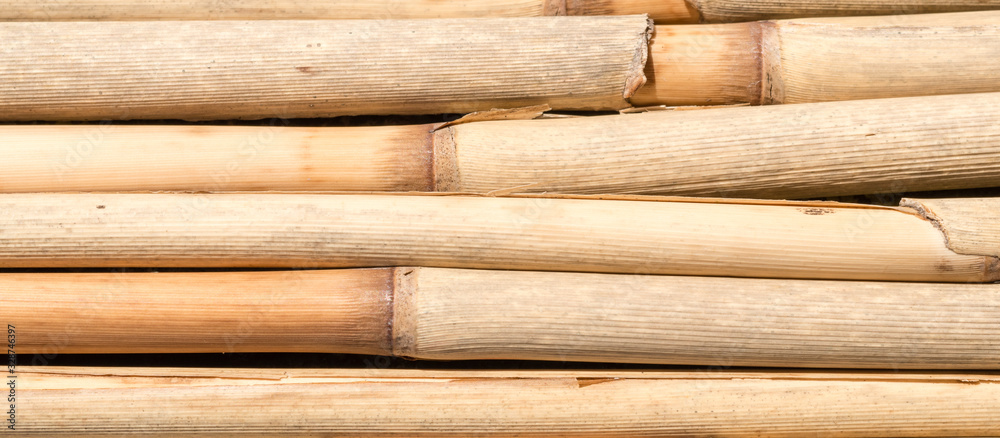 Strand of straw tied for backgrounds Strand of straw tied for backgrounds