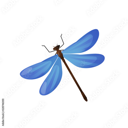 Bright blue dragonfly insect isolated on white. photo