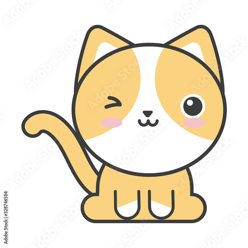 cute cat on white background, feline domestic