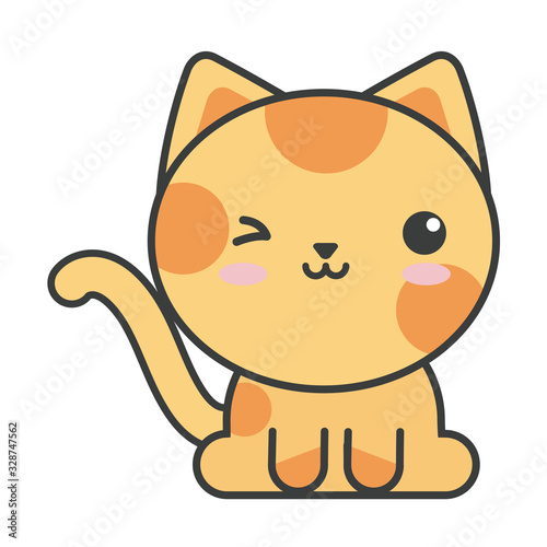 cute cat on white background, feline domestic