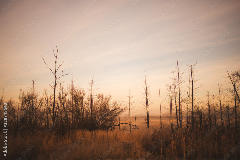 Dawn, morning in the field. Soft focus, slightly blurred. autumn landscape.
