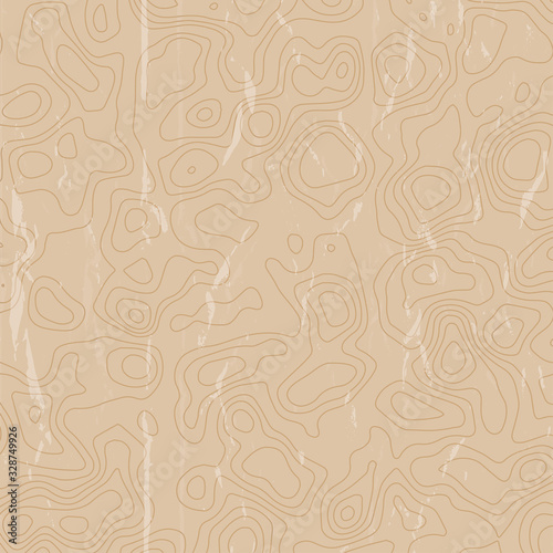 An abstract topographical contour map background image.