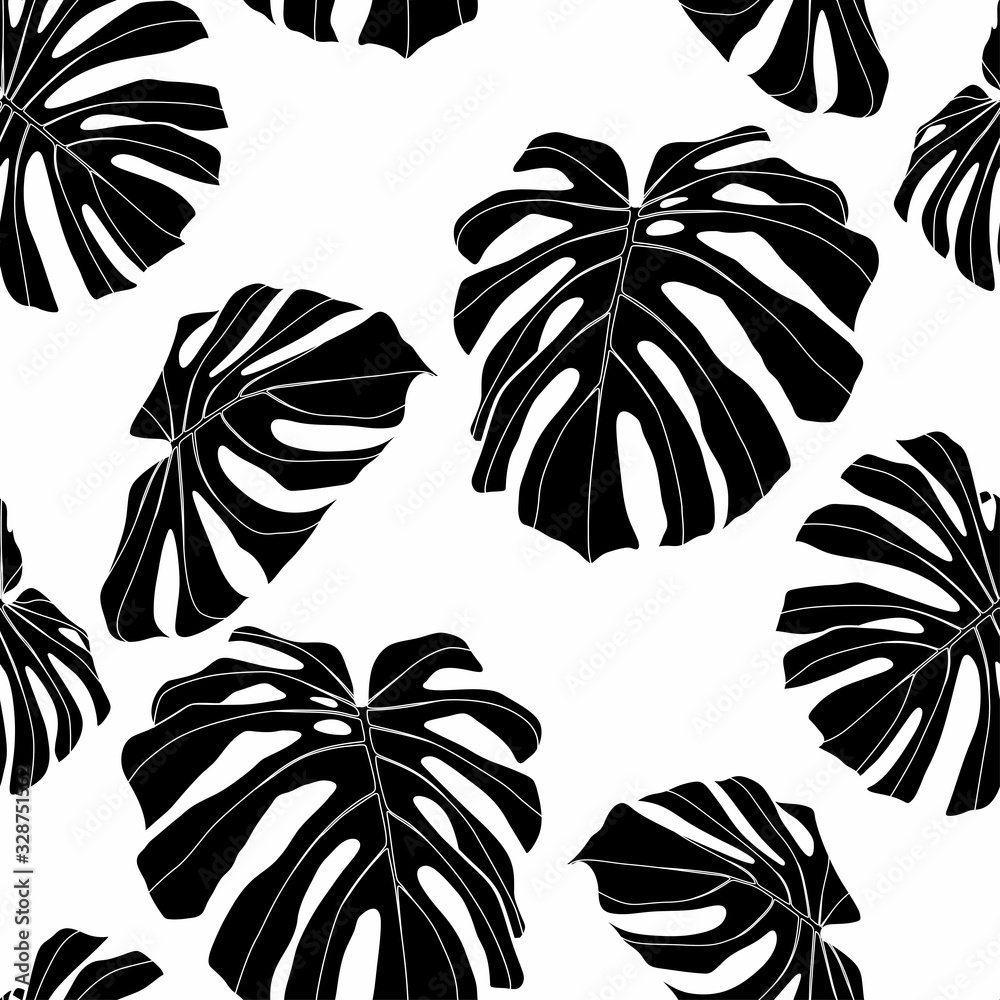 Obraz Floral seamless pattern, black and white split-leaf Philodendron monstera plant on white background, line art ink drawing.