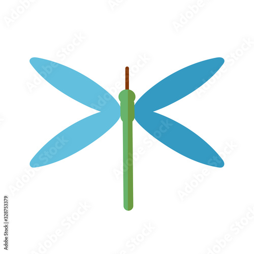 dragonfly insect icon, flat style