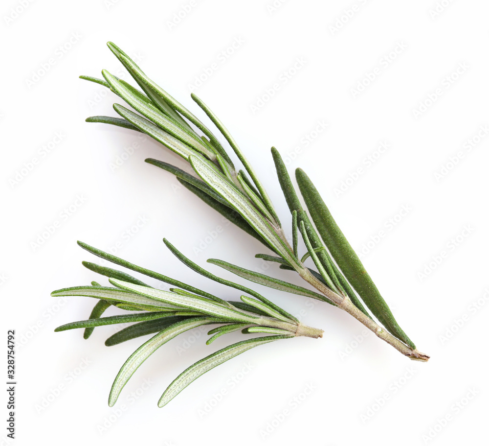 Fresh green rosemary sprig isolated on a white background Fresh green rosemary sprig isolated on a white background