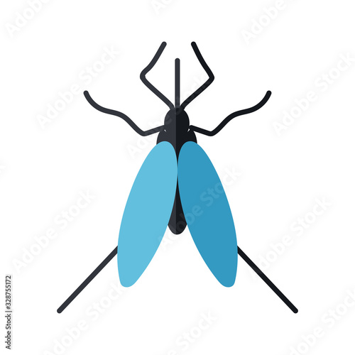 beetle insect icon, flat style