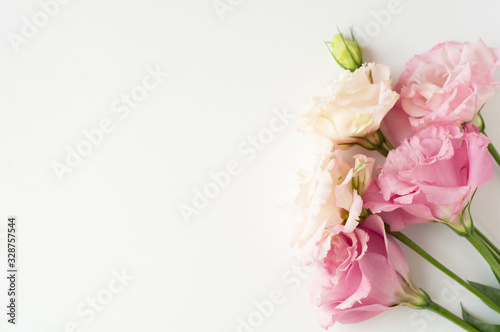 Fototapeta Naklejka Na Ścianę i Meble -  Beautiful pink and white eustoma flowers (lisianthus) in full bloom with green leaves. Bouquet of flowers on a white background.
