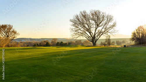 Sunset Meadow - Autumn sunset view of a big tree standing on a green meadow at foothill of Front Range of Rocky Mountains.  Denver-Lakewood  Colorado  USA.