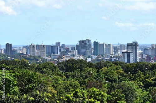 Forest Trees And City Buildings In Cebu Philippines