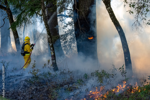 Firefighter Fighting California Wild Fire photo