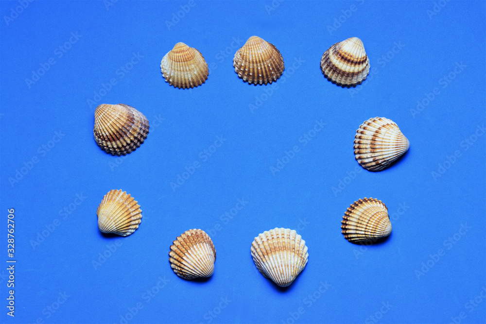 Conchas sobre fondo azul, espacio para texto