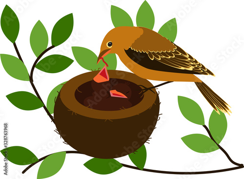 Vector illustration in a flat style. A nest with chicks is located on a tree branch, an adult bird feeds them with a worm