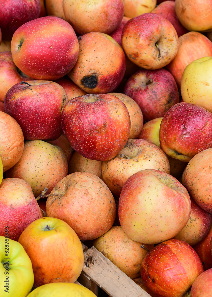 ugly eco food organic apples at the farmers' market. ugly fruits and vegetables concept. selective focus ugly eco food organic apples at the farmers' market. ugly fruits and vegetables concept. selective focus