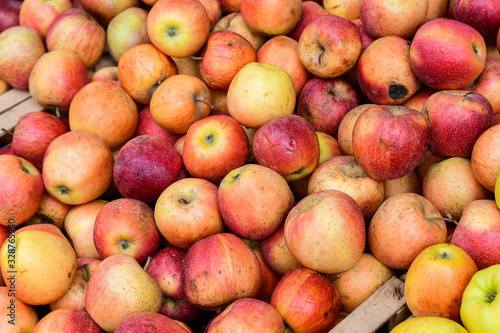 ugly eco food organic apples at the farmers' market. ugly fruits and vegetables concept. selective focus photo