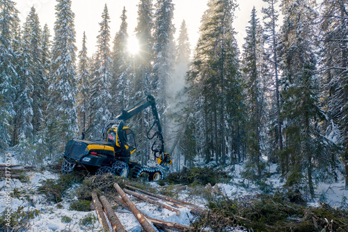 Sustaineable timber harvesting in Norway during wintertime photo